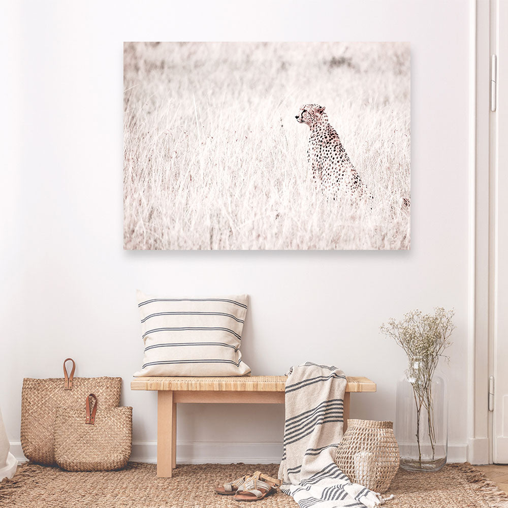Shop Grazing Cheetah Photo Canvas Print a photography framed stretched canvas print from The Print Emporium wall artwork collection - Buy Australian made prints for the home and your interior decor space, TPE-881-CA-35X46-NF