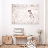 Shop Grazing Cheetah Photo Canvas Print a photography framed stretched canvas print from The Print Emporium wall artwork collection - Buy Australian made prints for the home and your interior decor space, TPE-881-CA-35X46-NF