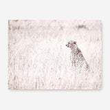 Shop Grazing Cheetah Photo Canvas Print a photography framed stretched canvas print from The Print Emporium wall artwork collection - Buy Australian made prints for the home and your interior decor space, TPE-881-CA-35X46-NF