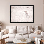 Shop Grazing Cheetah Photo Canvas Print a photography framed stretched canvas print from The Print Emporium wall artwork collection - Buy Australian made prints for the home and your interior decor space, TPE-881-CA-35X46-NF