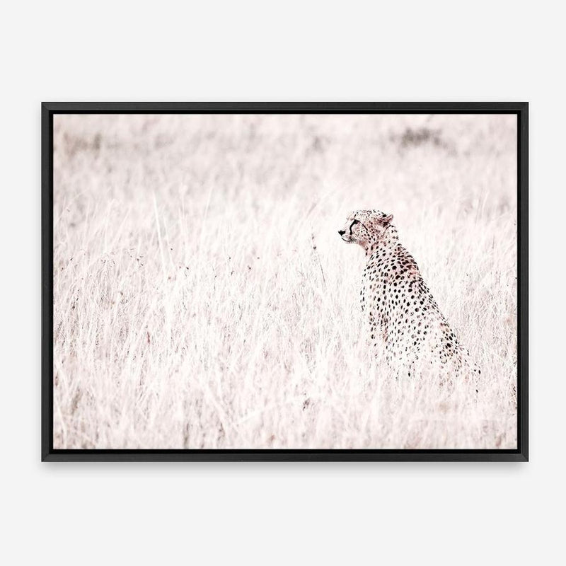 Shop Grazing Cheetah Photo Canvas Print a photography framed stretched canvas print from The Print Emporium wall artwork collection - Buy Australian made prints for the home and your interior decor space, TPE-881-CA-35X46-NF