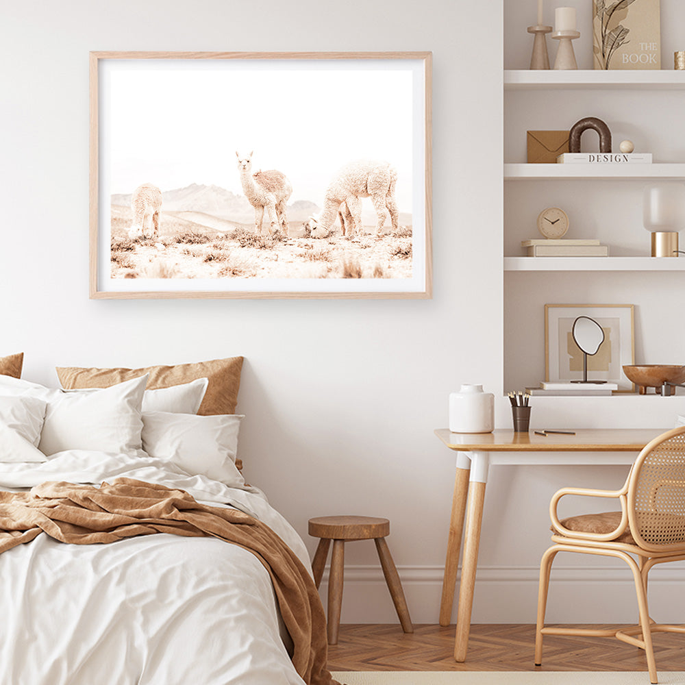 Shop Grazing Llamas Photo Art Print a Moroccan desert boho themed photography wall art print from The Print Emporium wall artwork collection - Buy Australian made fine art poster and framed prints for the home and your interior decor room, TPE-506-AP