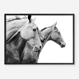 Shop Grey Horses Photo Art Print a photography wall art print from The Print Emporium wall artwork collection - Buy Australian made fine art poster and framed prints for the home and your interior decor room, TPE-498-AP