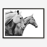 Shop Grey Horses Photo Art Print a photography wall art print from The Print Emporium wall artwork collection - Buy Australian made fine art poster and framed prints for the home and your interior decor room, TPE-498-AP