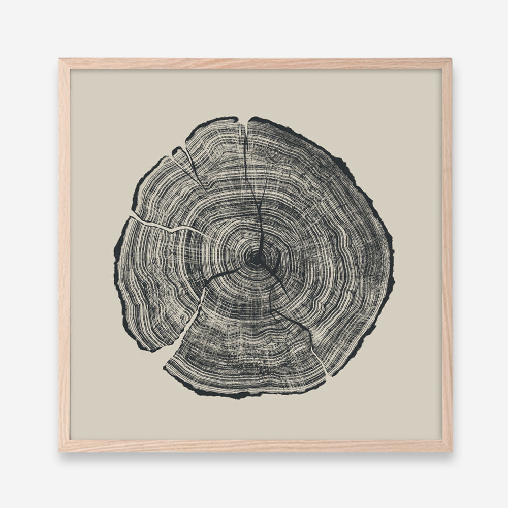 Shop Hand-Drawn Oak (Square) Art Print a painted abstract themed wall art print from The Print Emporium wall artwork collection - Buy Australian made fine art painting style poster and framed prints for the home and your interior decor room, TPE-DH-165-AP
