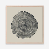 Shop Hand-Drawn Oak (Square) Art Print a painted abstract themed wall art print from The Print Emporium wall artwork collection - Buy Australian made fine art painting style poster and framed prints for the home and your interior decor room, TPE-DH-165-AP