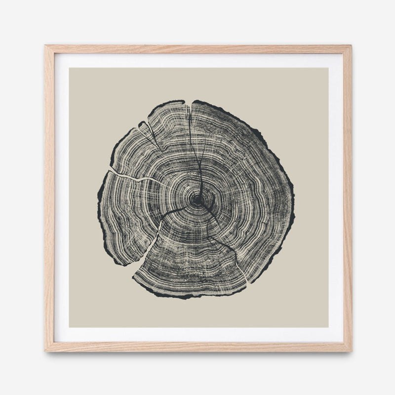 Shop Hand-Drawn Oak (Square) Art Print a painted abstract themed wall art print from The Print Emporium wall artwork collection - Buy Australian made fine art painting style poster and framed prints for the home and your interior decor room, TPE-DH-165-AP