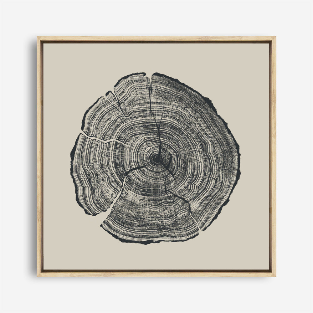 Shop Hand-Drawn Oak (Square) Canvas Print a painted abstract themed framed canvas wall art print from The Print Emporium artwork collection - Buy Australian made fine art painting style stretched canvas prints for the home and your interior decor space, TPE-DH-165-CA-40X40-NF