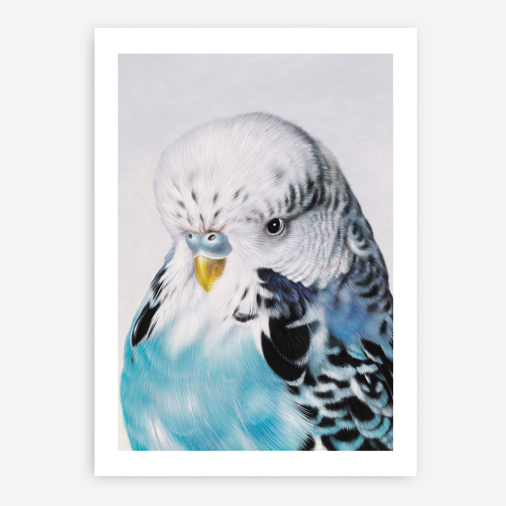 Shop Henry The Budgerigar Art Print a painted bird themed wall art print from The Print Emporium wall artwork collection - Buy Australian made fine art painting style poster and framed prints for the home and your interior decor room, TPE-177-AP