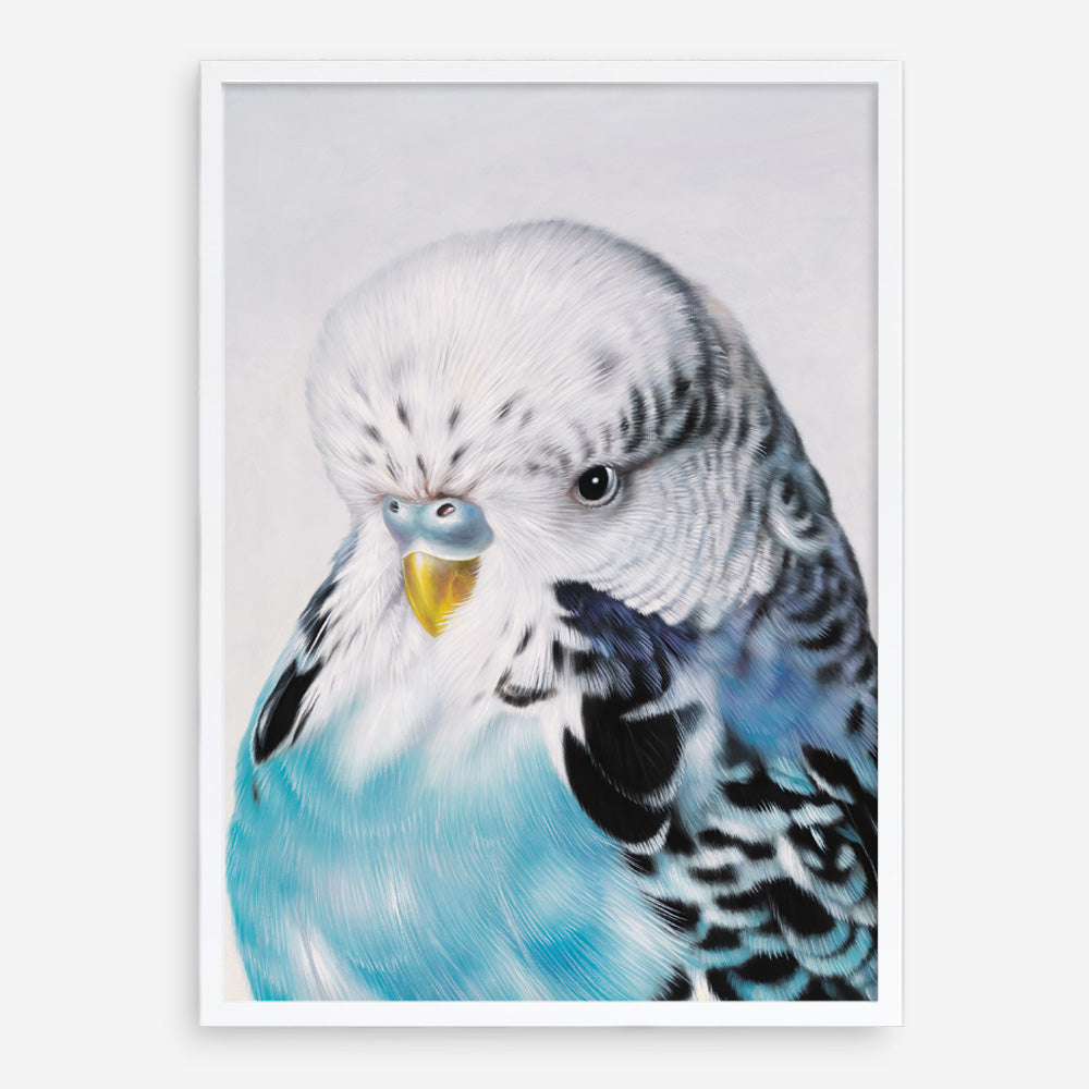 Shop Henry The Budgerigar Art Print a painted bird themed wall art print from The Print Emporium wall artwork collection - Buy Australian made fine art painting style poster and framed prints for the home and your interior decor room, TPE-177-AP