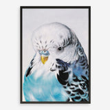 Shop Henry The Budgerigar Art Print a painted bird themed wall art print from The Print Emporium wall artwork collection - Buy Australian made fine art painting style poster and framed prints for the home and your interior decor room, TPE-177-AP
