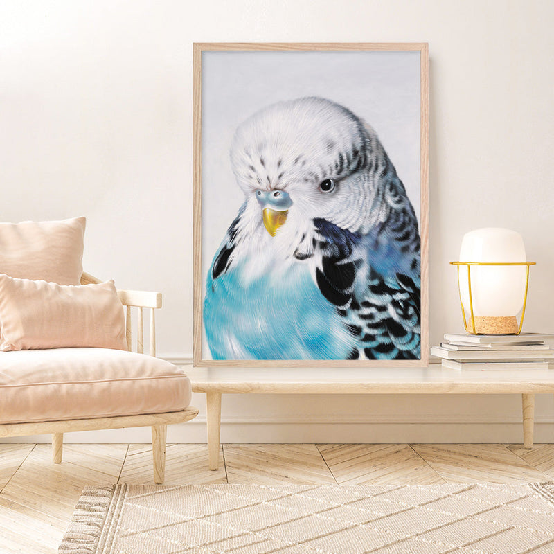 Shop Henry The Budgerigar Art Print a painted bird themed wall art print from The Print Emporium wall artwork collection - Buy Australian made fine art painting style poster and framed prints for the home and your interior decor room, TPE-177-AP