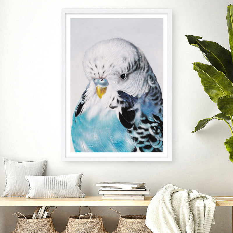 Shop Henry The Budgerigar Art Print a painted bird themed wall art print from The Print Emporium wall artwork collection - Buy Australian made fine art painting style poster and framed prints for the home and your interior decor room, TPE-177-AP