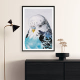 Shop Henry The Budgerigar Art Print a painted bird themed wall art print from The Print Emporium wall artwork collection - Buy Australian made fine art painting style poster and framed prints for the home and your interior decor room, TPE-177-AP
