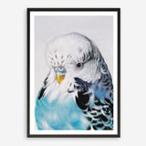 Shop Henry The Budgerigar Art Print a painted bird themed wall art print from The Print Emporium wall artwork collection - Buy Australian made fine art painting style poster and framed prints for the home and your interior decor room, TPE-177-AP
