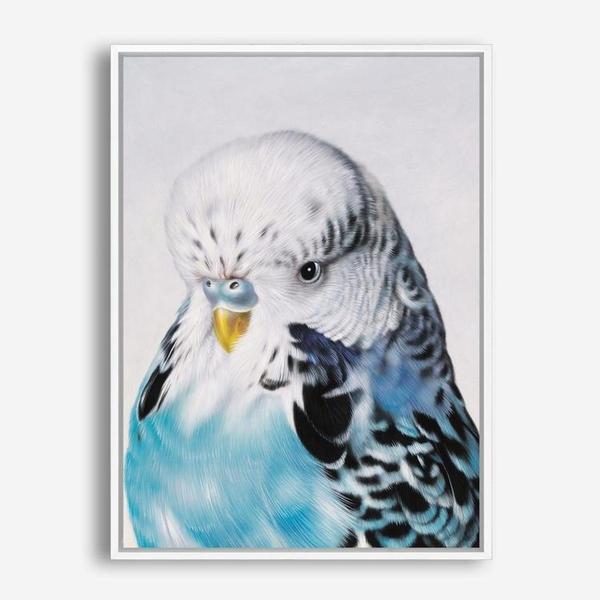 Shop Henry The Budgerigar Canvas Print a painted bird themed framed canvas wall art print from The Print Emporium artwork collection - Buy Australian made fine art painting style stretched canvas prints for the home and your interior decor space, TPE-177-CA-35X46-NF