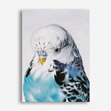 Shop Henry The Budgerigar Canvas Print a painted bird themed framed canvas wall art print from The Print Emporium artwork collection - Buy Australian made fine art painting style stretched canvas prints for the home and your interior decor space, TPE-177-CA-35X46-NF