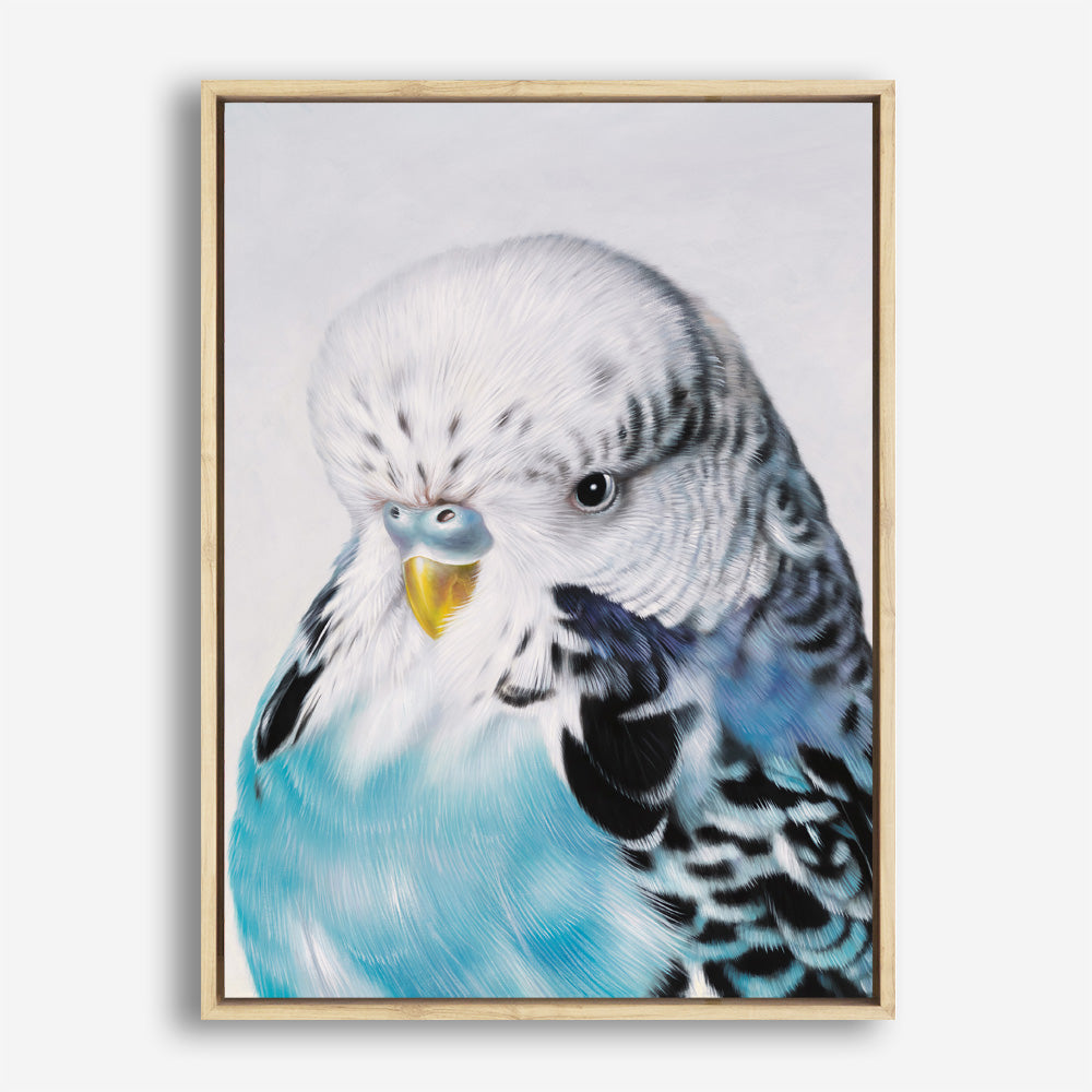 Shop Henry The Budgerigar Canvas Print a painted bird themed framed canvas wall art print from The Print Emporium artwork collection - Buy Australian made fine art painting style stretched canvas prints for the home and your interior decor space, TPE-177-CA-35X46-NF