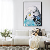 Shop Henry The Budgerigar Canvas Print a painted bird themed framed canvas wall art print from The Print Emporium artwork collection - Buy Australian made fine art painting style stretched canvas prints for the home and your interior decor space, TPE-177-CA-35X46-NF