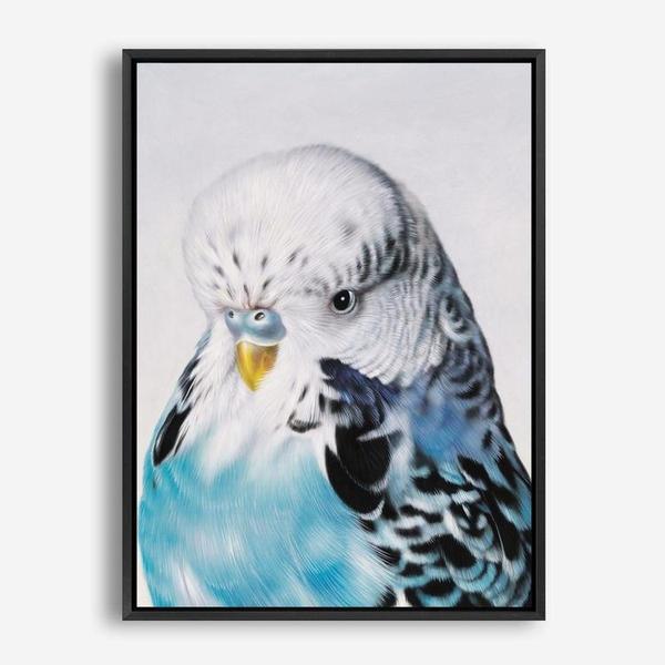 Shop Henry The Budgerigar Canvas Print a painted bird themed framed canvas wall art print from The Print Emporium artwork collection - Buy Australian made fine art painting style stretched canvas prints for the home and your interior decor space, TPE-177-CA-35X46-NF
