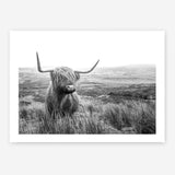 Shop Highland Cow B&W Photo Art Print a photography wall art print from The Print Emporium wall artwork collection - Buy Australian made fine art poster and framed prints for the home and your interior decor room, TPE-488-AP