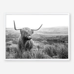 Shop Highland Cow B&W Photo Art Print a photography wall art print from The Print Emporium wall artwork collection - Buy Australian made fine art poster and framed prints for the home and your interior decor room, TPE-488-AP