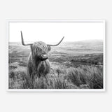 Shop Highland Cow B&W Photo Art Print a photography wall art print from The Print Emporium wall artwork collection - Buy Australian made fine art poster and framed prints for the home and your interior decor room, TPE-488-AP