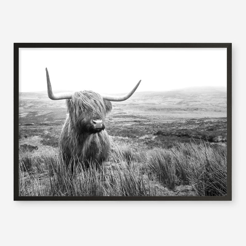 Shop Highland Cow B&W Photo Art Print a photography wall art print from The Print Emporium wall artwork collection - Buy Australian made fine art poster and framed prints for the home and your interior decor room, TPE-488-AP