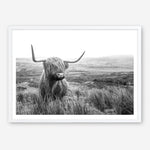 Shop Highland Cow B&W Photo Art Print a photography wall art print from The Print Emporium wall artwork collection - Buy Australian made fine art poster and framed prints for the home and your interior decor room, TPE-488-AP