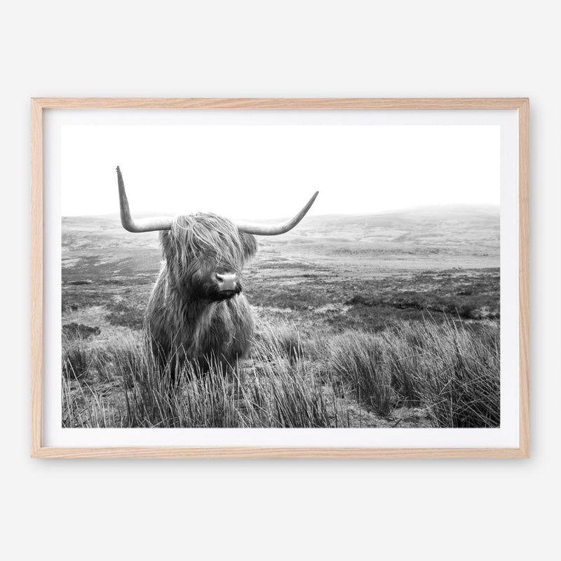 Shop Highland Cow B&W Photo Art Print a photography wall art print from The Print Emporium wall artwork collection - Buy Australian made fine art poster and framed prints for the home and your interior decor room, TPE-488-AP