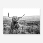 Shop Highland Cow B&W Photo Art Print a photography wall art print from The Print Emporium wall artwork collection - Buy Australian made fine art poster and framed prints for the home and your interior decor room, TPE-488-AP