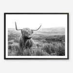 Shop Highland Cow B&W Photo Art Print a photography wall art print from The Print Emporium wall artwork collection - Buy Australian made fine art poster and framed prints for the home and your interior decor room, TPE-488-AP