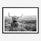 Shop Highland Cow B&W Photo Art Print a photography wall art print from The Print Emporium wall artwork collection - Buy Australian made fine art poster and framed prints for the home and your interior decor room, TPE-488-AP