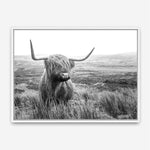 Shop Highland Cow B&W Photo Canvas Print a photography framed stretched canvas print from The Print Emporium wall artwork collection - Buy Australian made prints for the home and your interior decor space, TPE-488-CA-35X46-NF