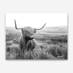 Shop Highland Cow B&W Photo Canvas Print a photography framed stretched canvas print from The Print Emporium wall artwork collection - Buy Australian made prints for the home and your interior decor space, TPE-488-CA-35X46-NF