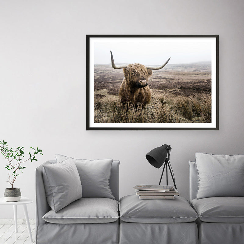 Shop Highland Cow I Photo Art Print a photography wall art print from The Print Emporium wall artwork collection - Buy Australian made fine art poster and framed prints for the home and your interior decor room, TPE-082-AP