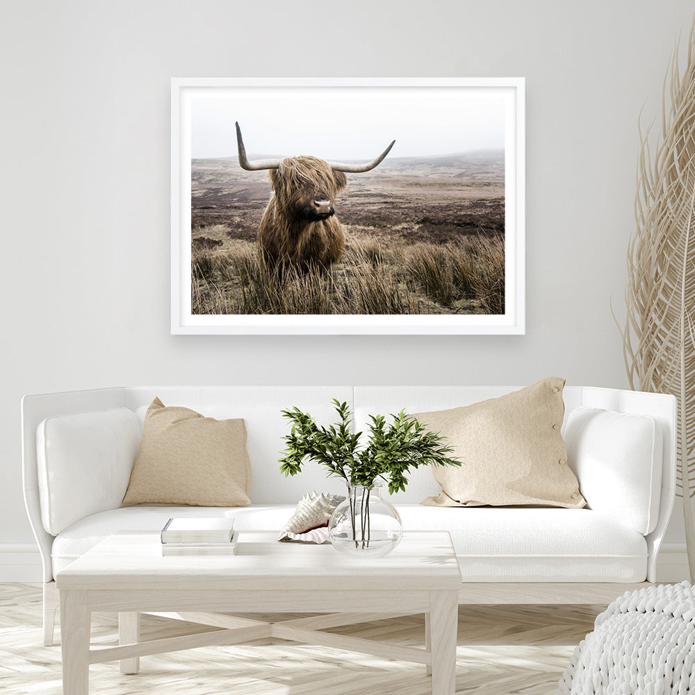 Shop Highland Cow I Photo Art Print a photography wall art print from The Print Emporium wall artwork collection - Buy Australian made fine art poster and framed prints for the home and your interior decor room, TPE-082-AP
