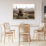 Shop Highland Cow I Photo Art Print a photography wall art print from The Print Emporium wall artwork collection - Buy Australian made fine art poster and framed prints for the home and your interior decor room, TPE-082-AP