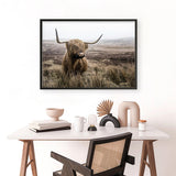 Shop Highland Cow I Photo Art Print a photography wall art print from The Print Emporium wall artwork collection - Buy Australian made fine art poster and framed prints for the home and your interior decor room, TPE-082-AP