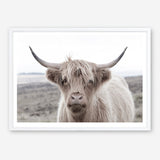 Shop Highland Cow II Photo Art Print a photography wall art print from The Print Emporium wall artwork collection - Buy Australian made fine art poster and framed prints for the home and your interior decor room, TPE-305-AP