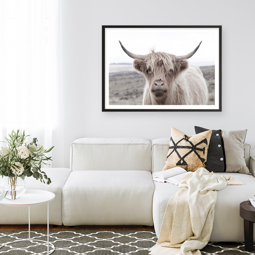 Shop Highland Cow II Photo Art Print a photography wall art print from The Print Emporium wall artwork collection - Buy Australian made fine art poster and framed prints for the home and your interior decor room, TPE-305-AP