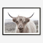 Shop Highland Cow II Photo Art Print a photography wall art print from The Print Emporium wall artwork collection - Buy Australian made fine art poster and framed prints for the home and your interior decor room, TPE-305-AP