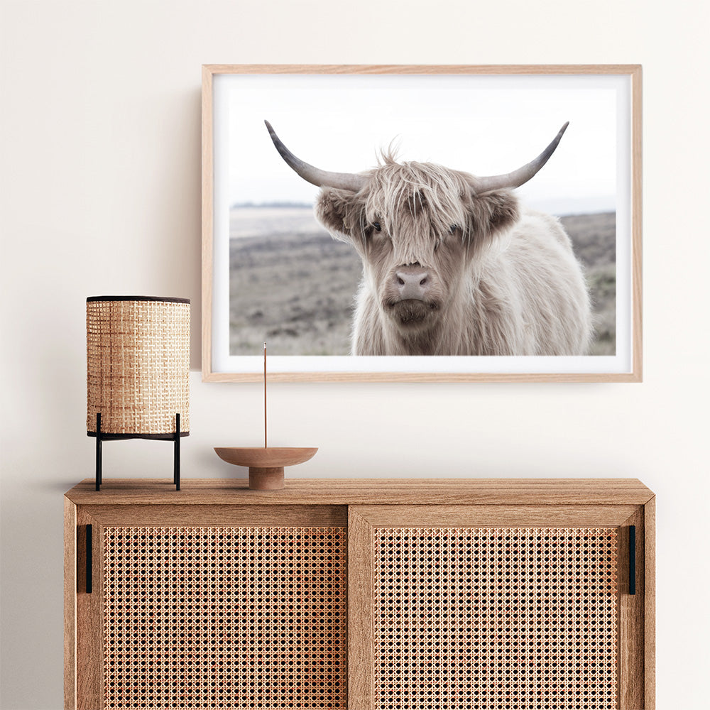 Shop Highland Cow II Photo Art Print a photography wall art print from The Print Emporium wall artwork collection - Buy Australian made fine art poster and framed prints for the home and your interior decor room, TPE-305-AP