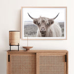 Shop Highland Cow II Photo Art Print a photography wall art print from The Print Emporium wall artwork collection - Buy Australian made fine art poster and framed prints for the home and your interior decor room, TPE-305-AP