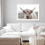 Shop Highland Cow II Photo Art Print a photography wall art print from The Print Emporium wall artwork collection - Buy Australian made fine art poster and framed prints for the home and your interior decor room, TPE-305-AP