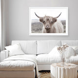Shop Highland Cow II Photo Art Print a photography wall art print from The Print Emporium wall artwork collection - Buy Australian made fine art poster and framed prints for the home and your interior decor room, TPE-305-AP