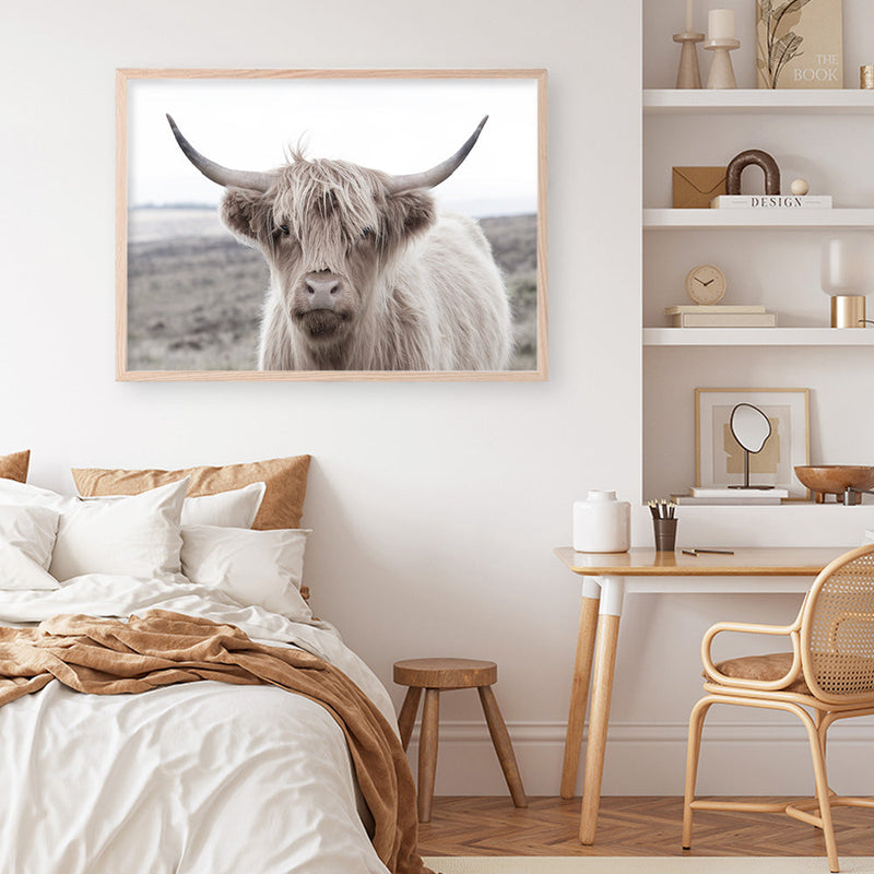Shop Highland Cow II Photo Art Print a photography wall art print from The Print Emporium wall artwork collection - Buy Australian made fine art poster and framed prints for the home and your interior decor room, TPE-305-AP