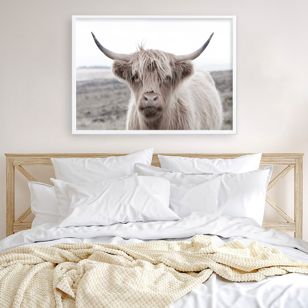 Shop Highland Cow II Photo Art Print a photography wall art print from The Print Emporium wall artwork collection - Buy Australian made fine art poster and framed prints for the home and your interior decor room, TPE-305-AP