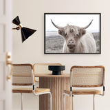Shop Highland Cow II Photo Art Print a photography wall art print from The Print Emporium wall artwork collection - Buy Australian made fine art poster and framed prints for the home and your interior decor room, TPE-305-AP