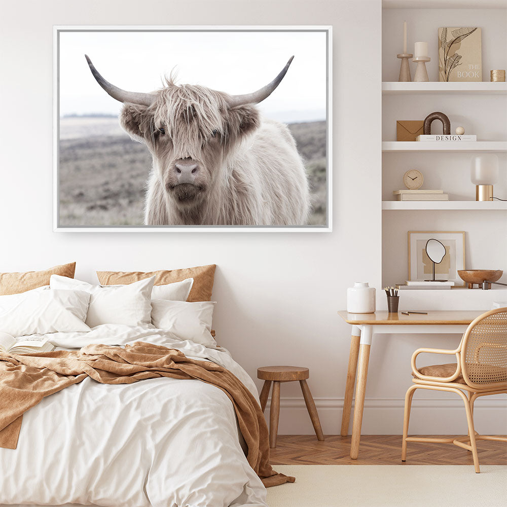 Shop Highland Cow II Photo Canvas Print a photography framed stretched canvas print from The Print Emporium wall artwork collection - Buy Australian made prints for the home and your interior decor space, TPE-305-CA-35X46-NF